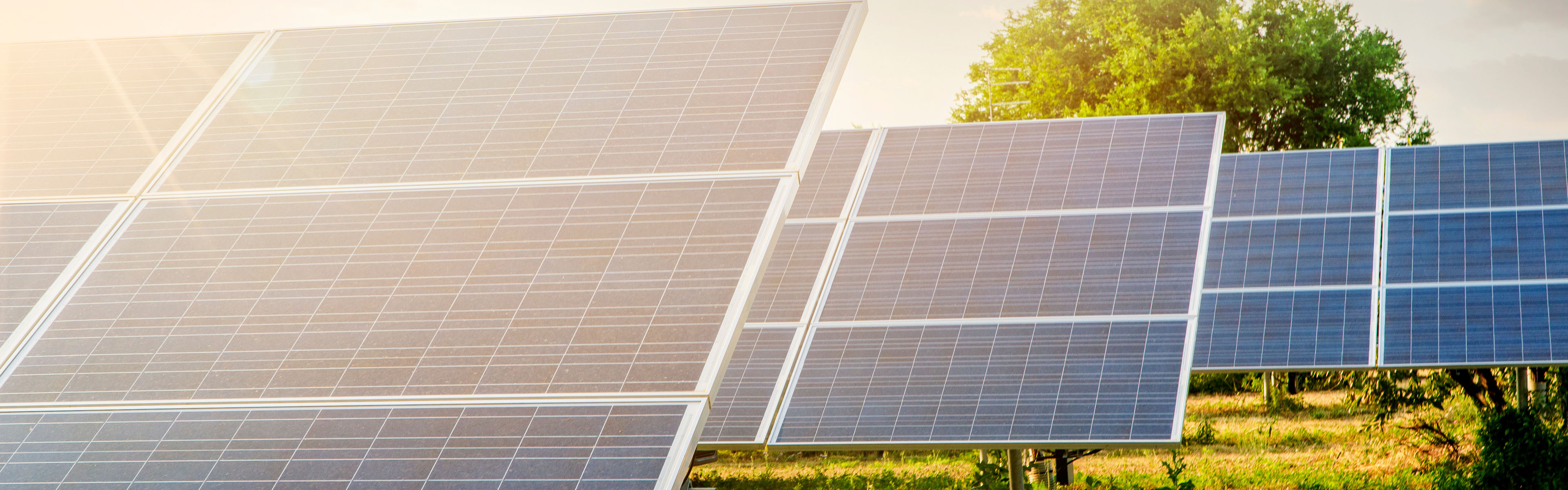 Drei schräg geneigte Solarpanelen im Sonnenschein