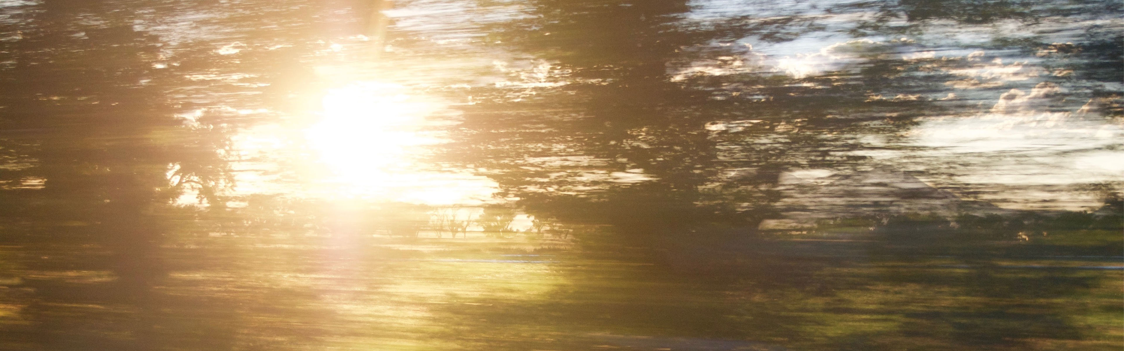 Verschwommenes Bild von Bäumen, Sonne blendet, symbolisch für Umzug