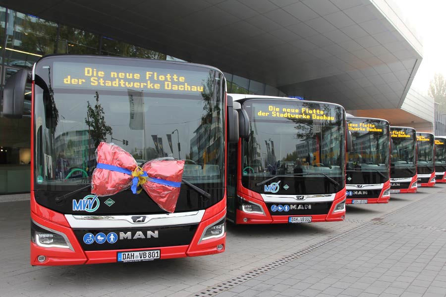 Sechs Busse der Stadtwerke Dachau aufgereiht von vorne. Erster Bus hat eine Schleife an der Front